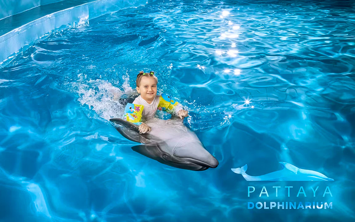 Entry Tickets To Pattaya Dolphinarium Price